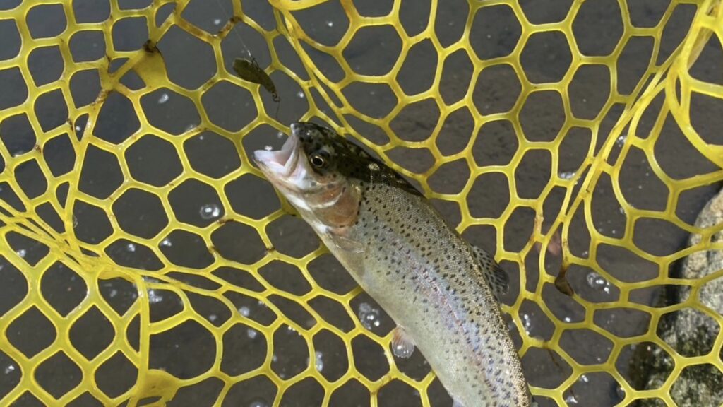 なぶら家2Win タモ網