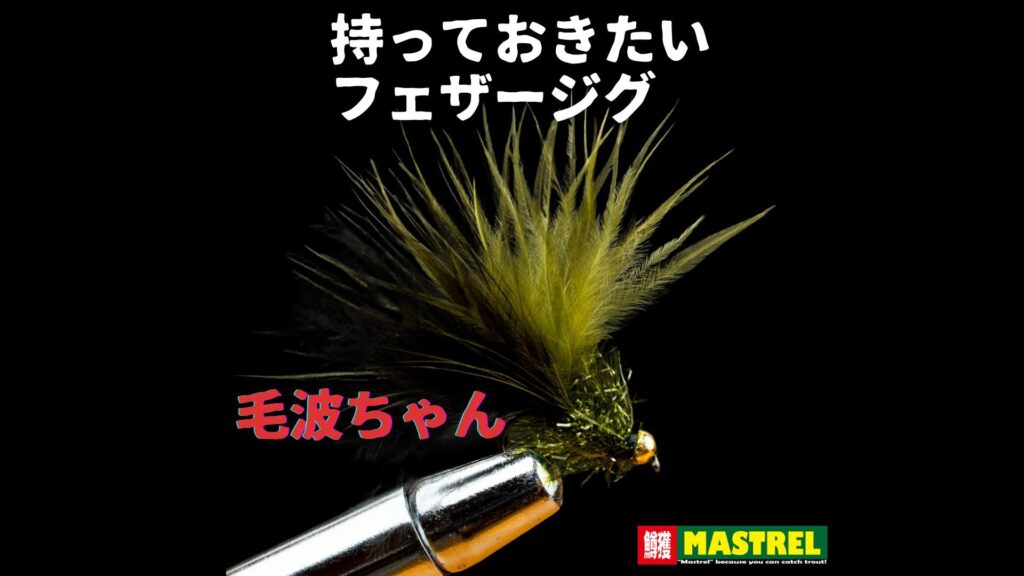 毛波ちゃんトップ画像