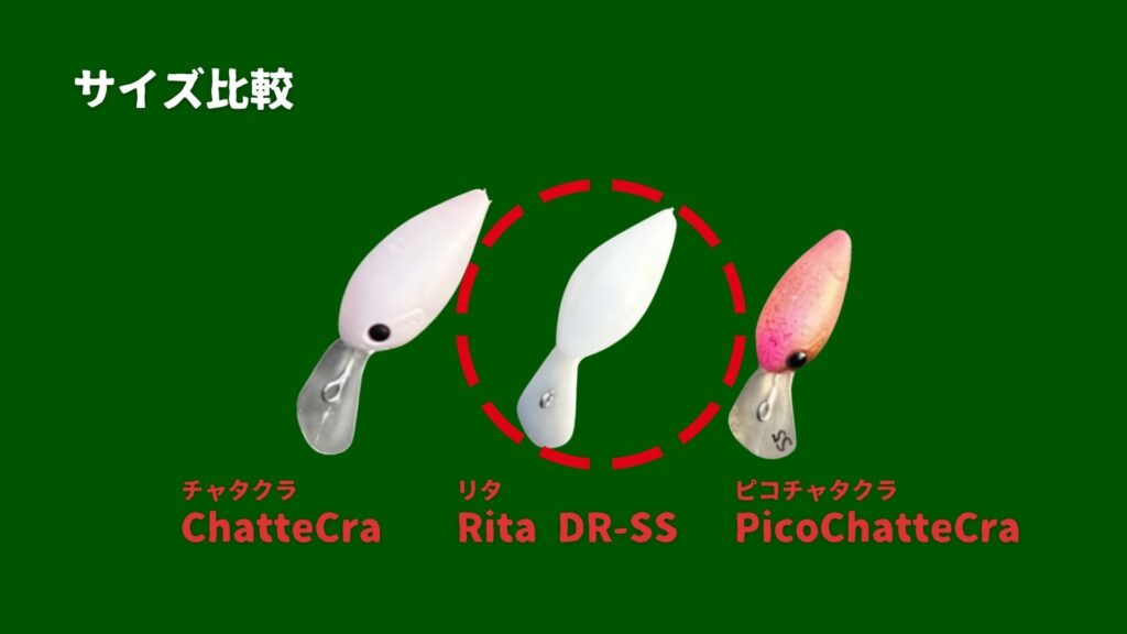 Rita DR-SS サイズ比較