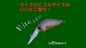 Rita DR-SS 記事サムネイル