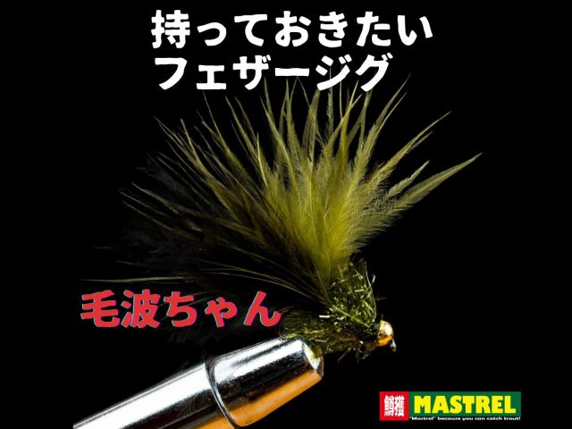 毛波ちゃんサムネイル